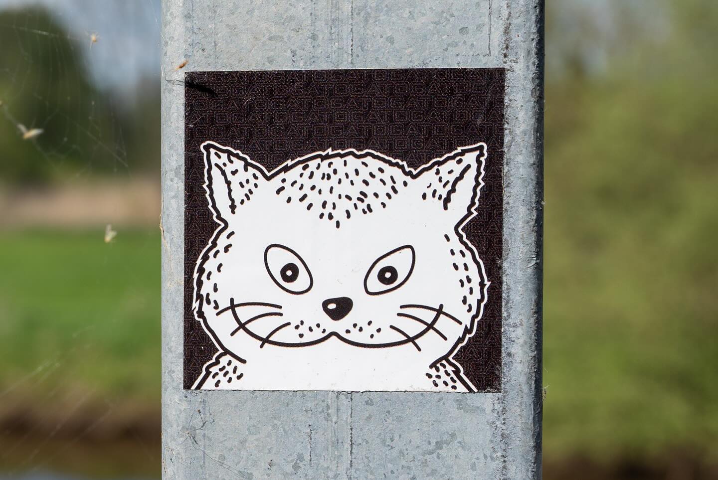 Een kleine Gato-sticker op een paal in het groen