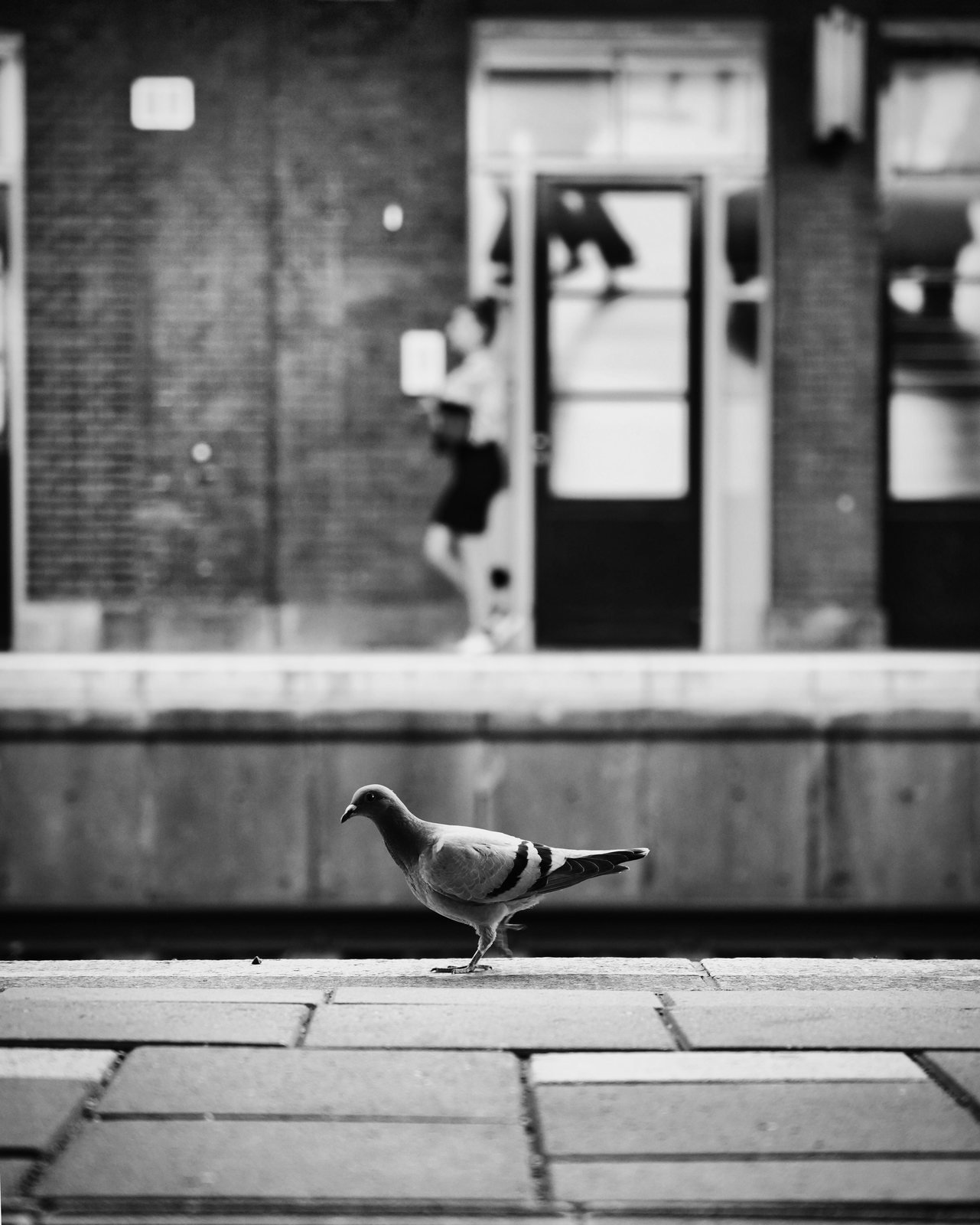 Voorbeeld van observerende straatfotografie door Paul