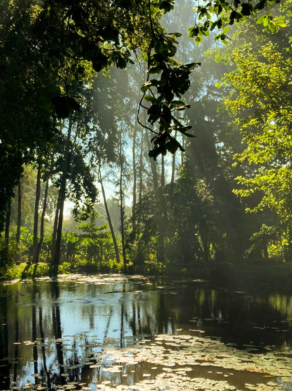 Landschapsfoto van Karen Muchanga